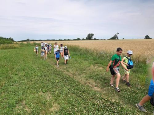 20190701 111411 (Copy)