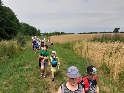 20190701 111506 (Copy)