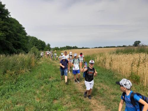 20190701 111511 (Copy)