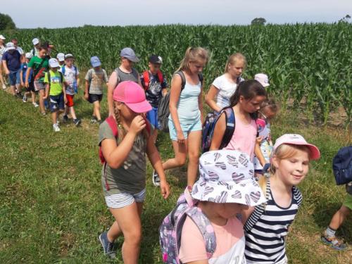 20190701 111613 (Copy)