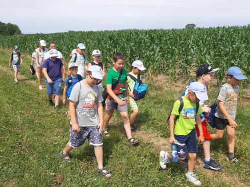 20190701 111617 (Copy)