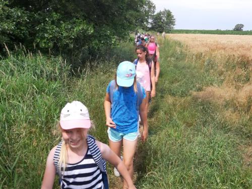 20190701 111838 (Copy)