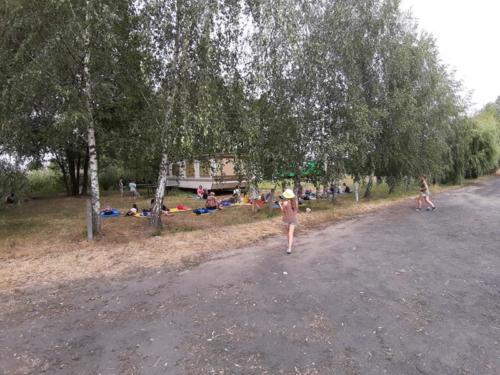 20190701 114952 (Copy)