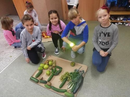 IMG 20191003 085028 (Copy)