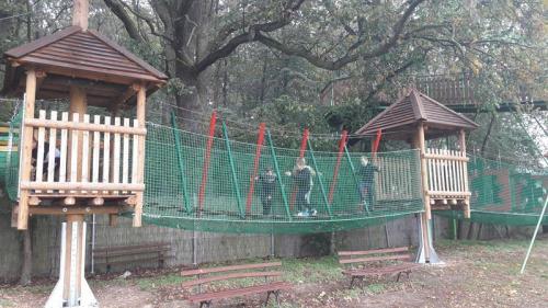 20190926 114239 (Copy)