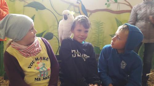 20190926 135342 (Copy)