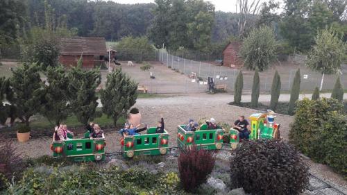 20190926 142246 (Copy)