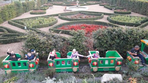 20190926 142741 (Copy)