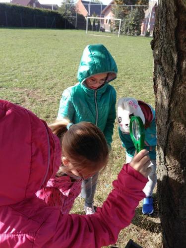 IMG 20190918 092835 (Copy)