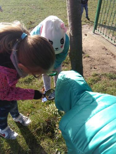 IMG 20190918 092958 (Copy)